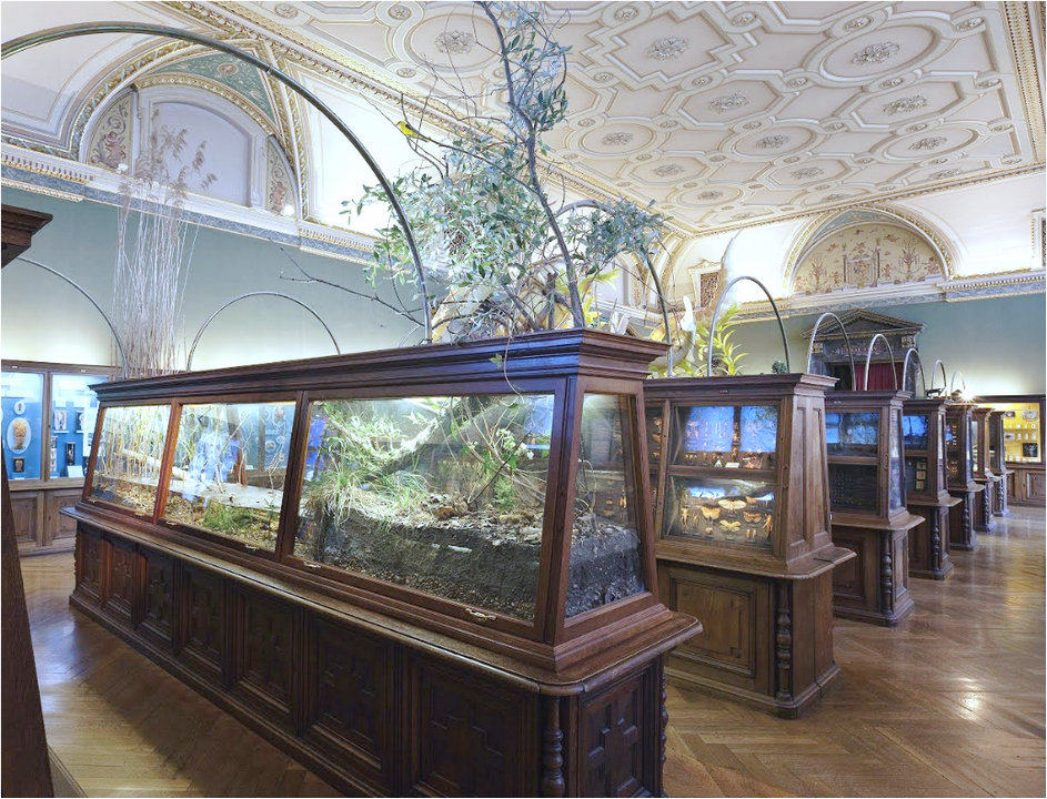 维也纳自然历史博物馆，奥地利