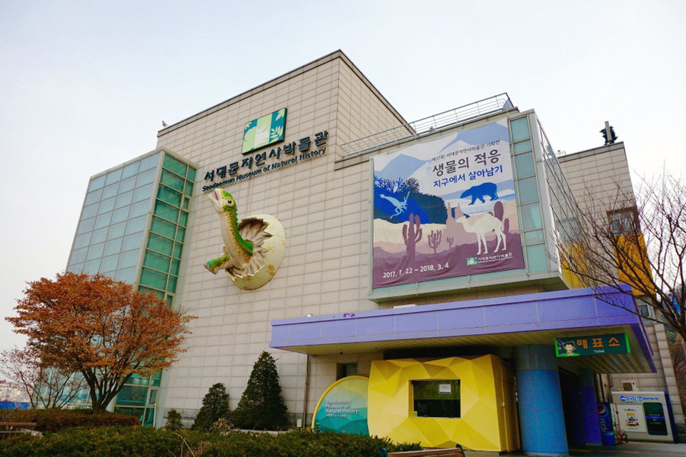 سيوديمون متحف التاريخ الطبيعي، سيول، كوريا الجنوبية