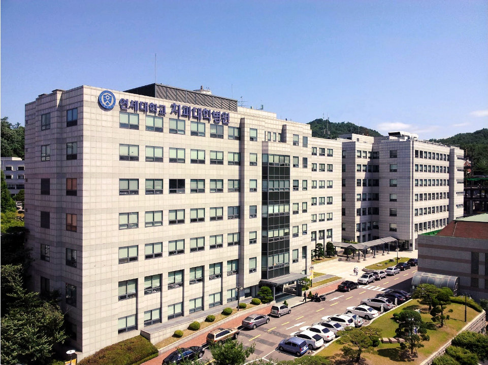 Колледж стоматологии Университета Йонсей, Южная Корея
