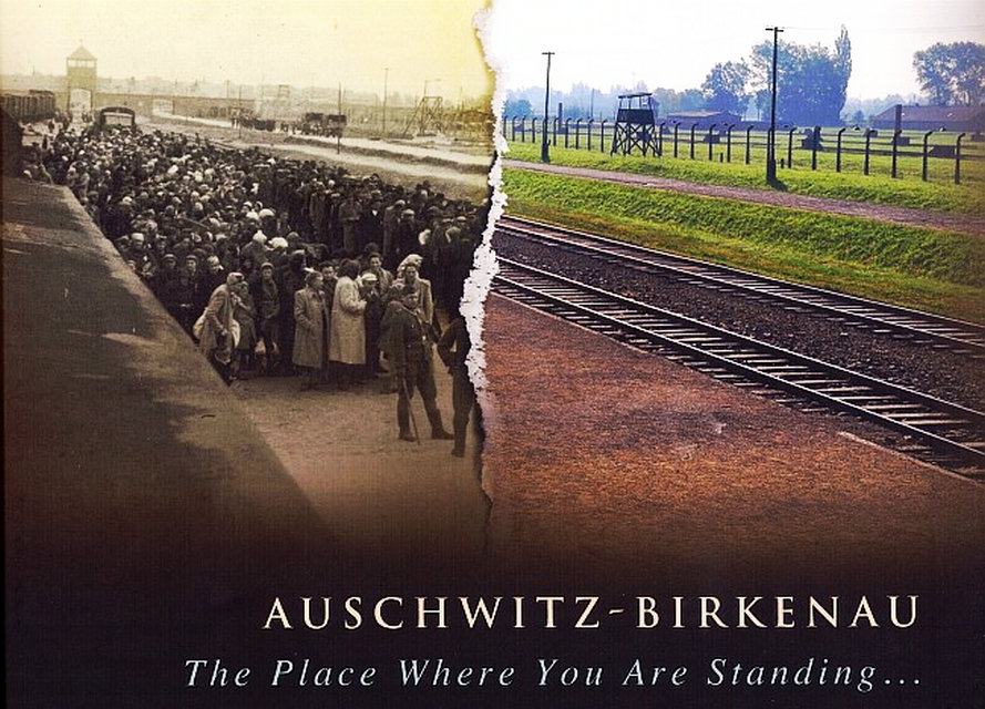 Das Auschwitz-Album, Yad Vashem