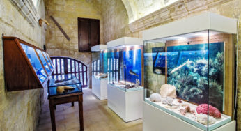 Musée de la Nature de Gozo, Ir-Rabat Ghawdex, Malte