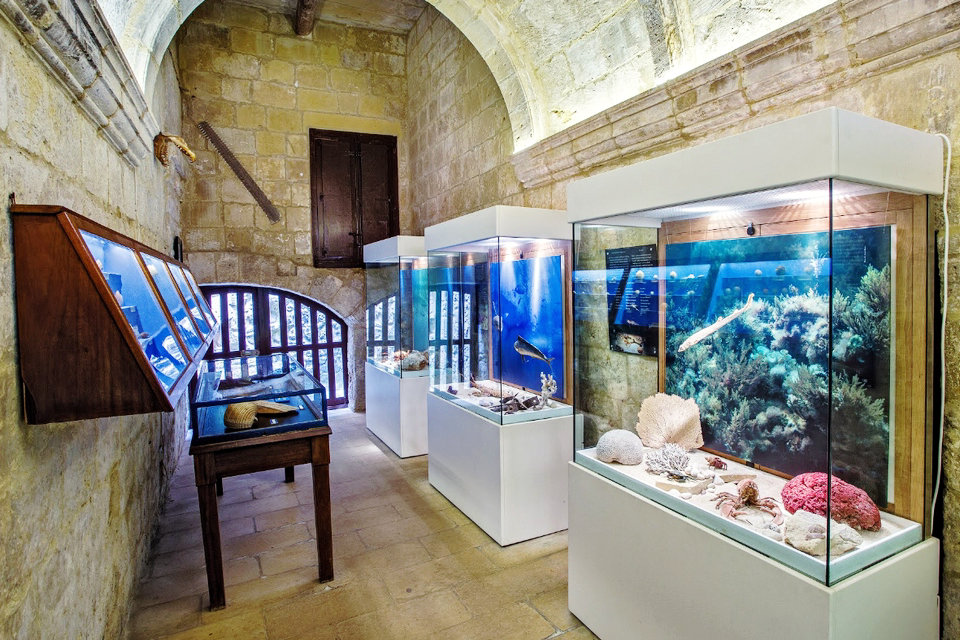 Museo de la Naturaleza de Gozo, Ir-Rabat Ghawdex, Malta