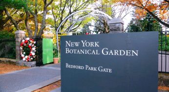 Giardino botanico di New York, NYC, Stati Uniti