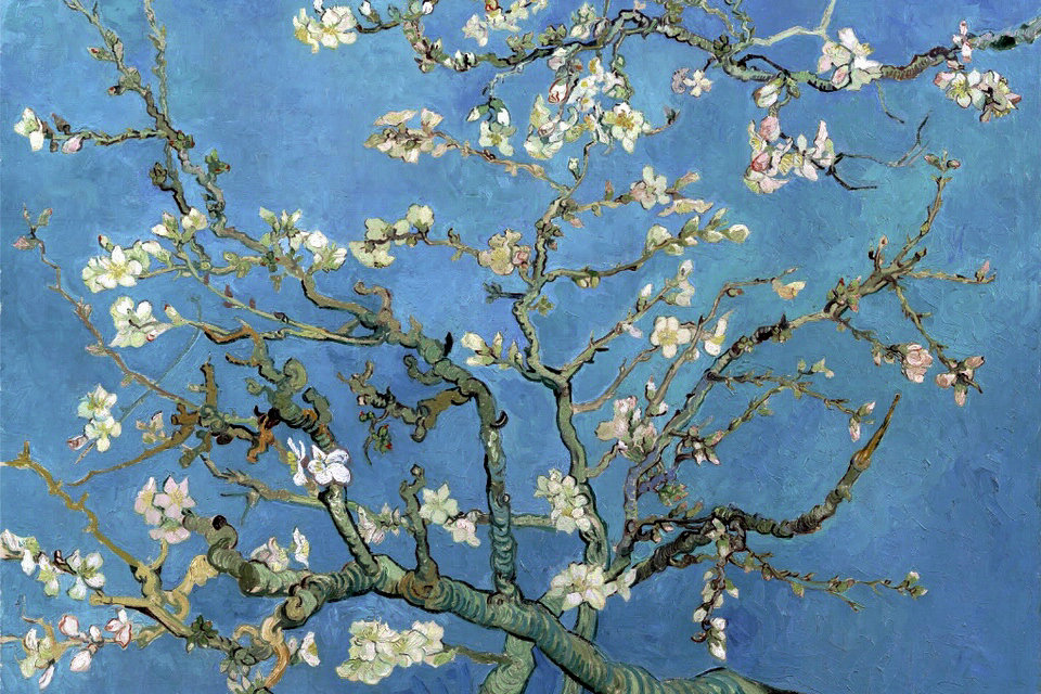 Van Gogh Influenza giapponese, Ispirazione dal Giappone, Museo Van Gogh