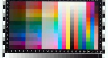 Charte de couleurs