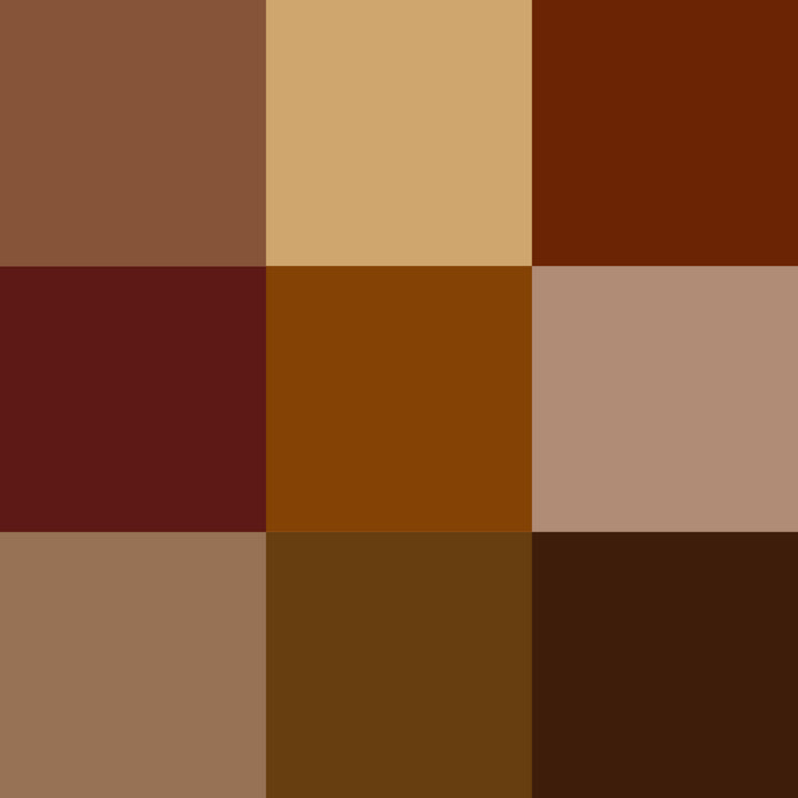 棕色的色调