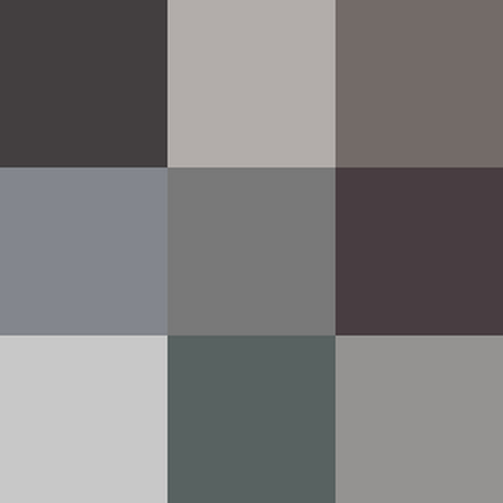 灰色的色调