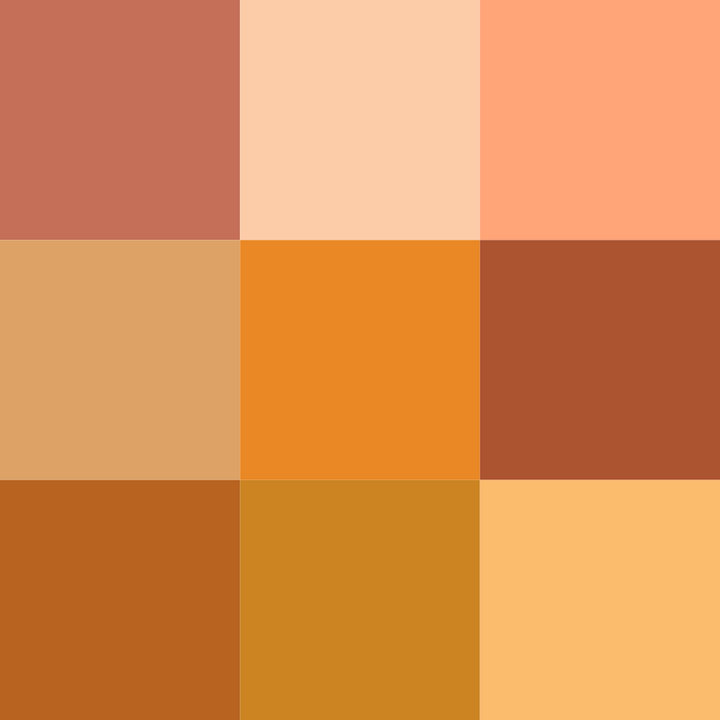 Оттенки оранжевого цвета