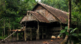 Uma longhouse