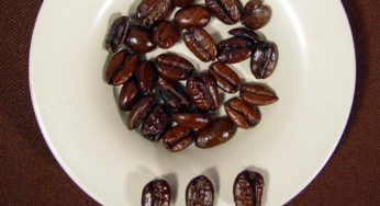 Production de café aux Philippines