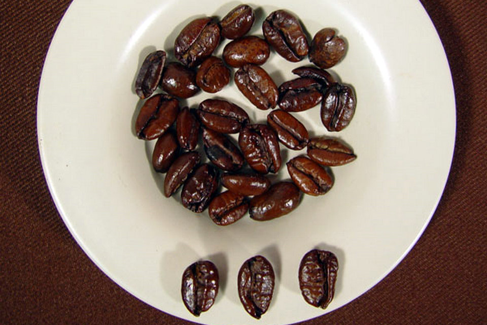 Production de café aux Philippines