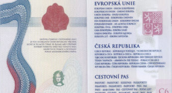 여권 가이드