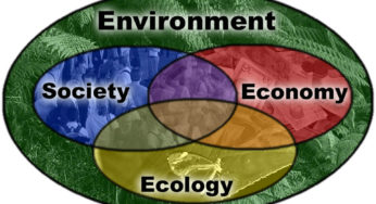 Dimension of sustainability
