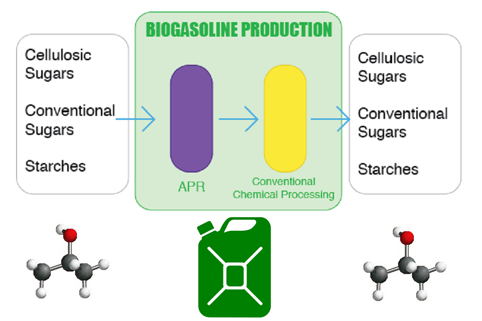 Biogasoline