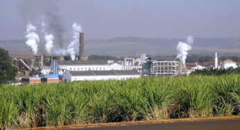 Zellulose Ethanol Wirtschaft