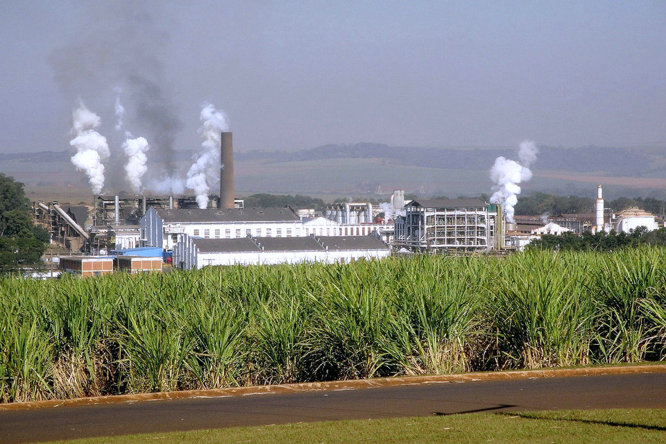 Economia do etanol celulósico