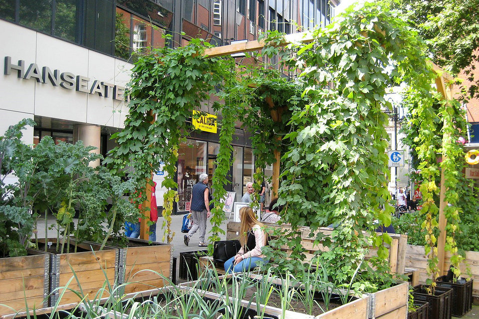Urbaner Gartenbau