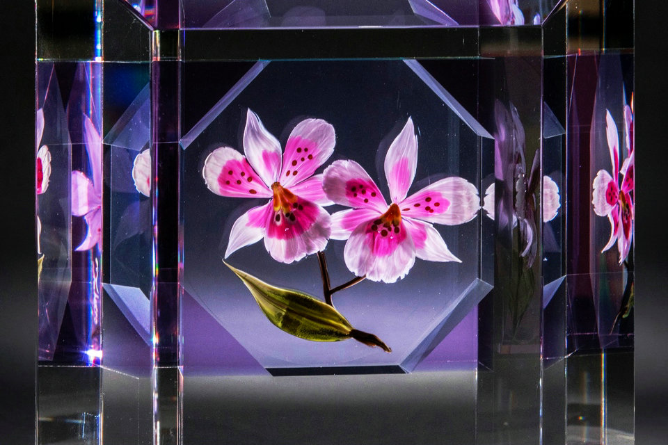 Fleurs de flammes, Musée du verre de Bergstrom-Mahler