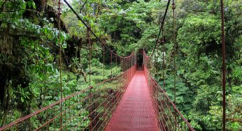 Bosques tropicales ecología turismo.