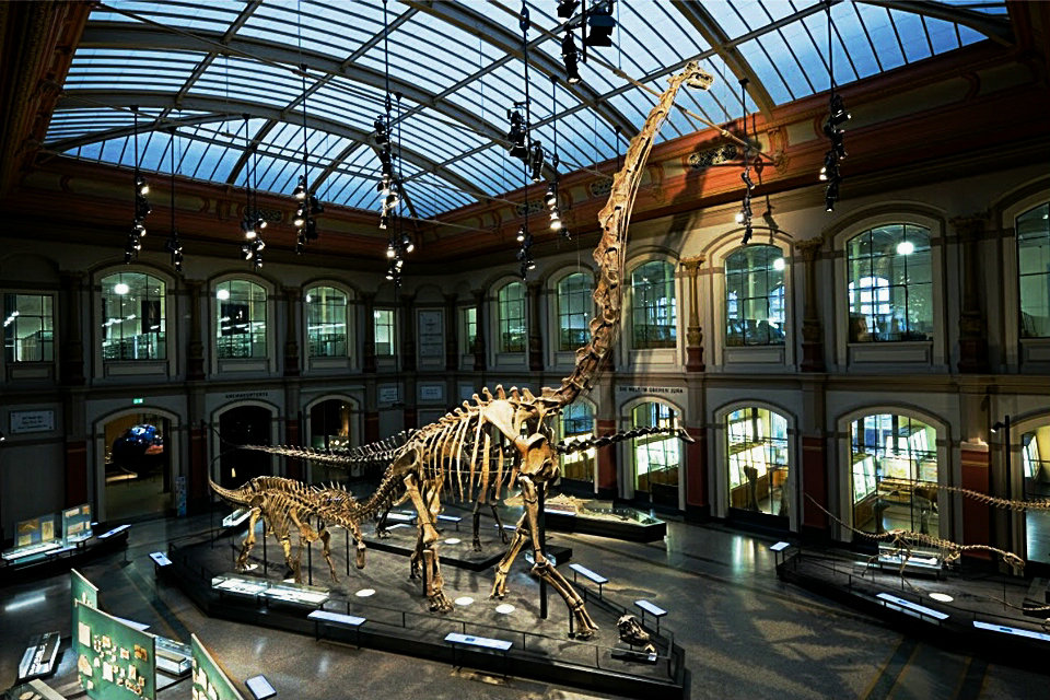 Giraffatitan: Volver a la vida en realidad virtual, video 360 °, Museo de Historia Natural de Berlín