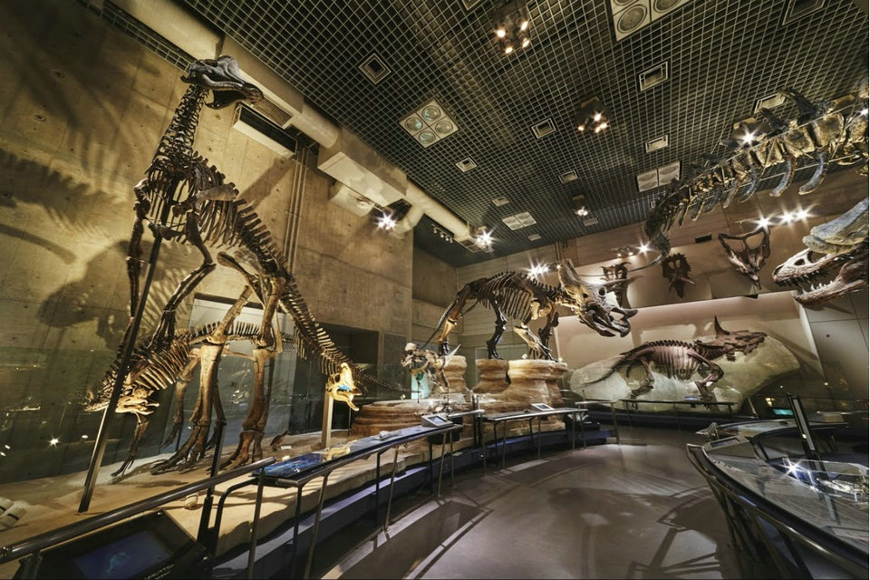 Эволюция жизни: изучение тайн динозавров, Японский национальный музей природы и науки