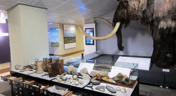 The world of stored specimens, Hokkaido University Museum