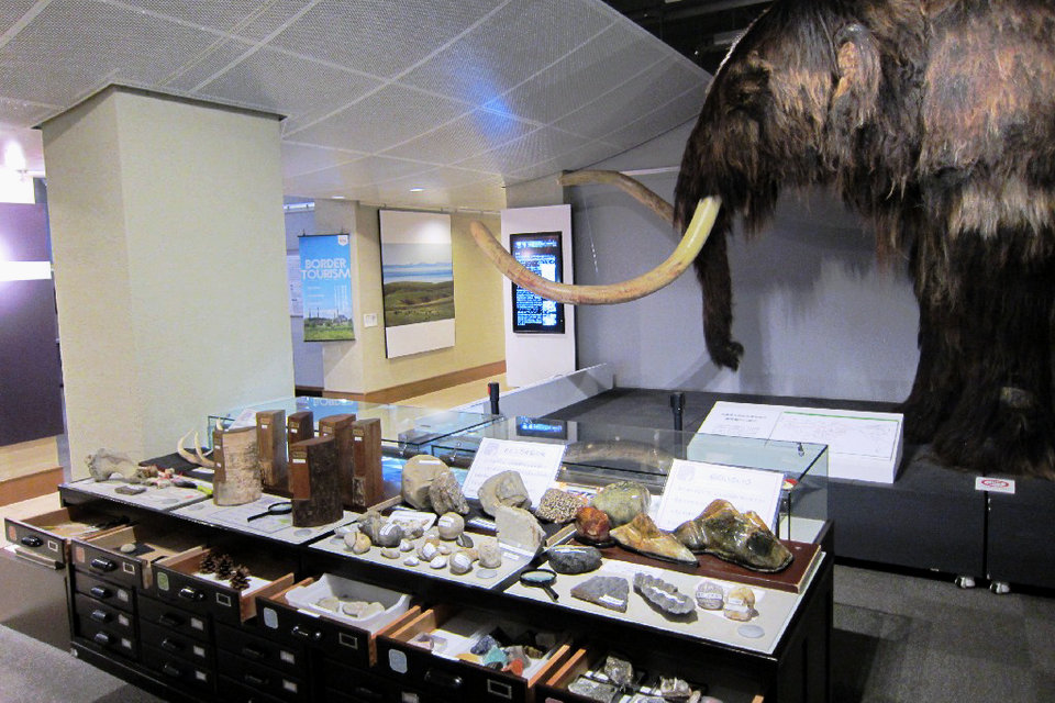 The world of stored specimens, Hokkaido University Museum