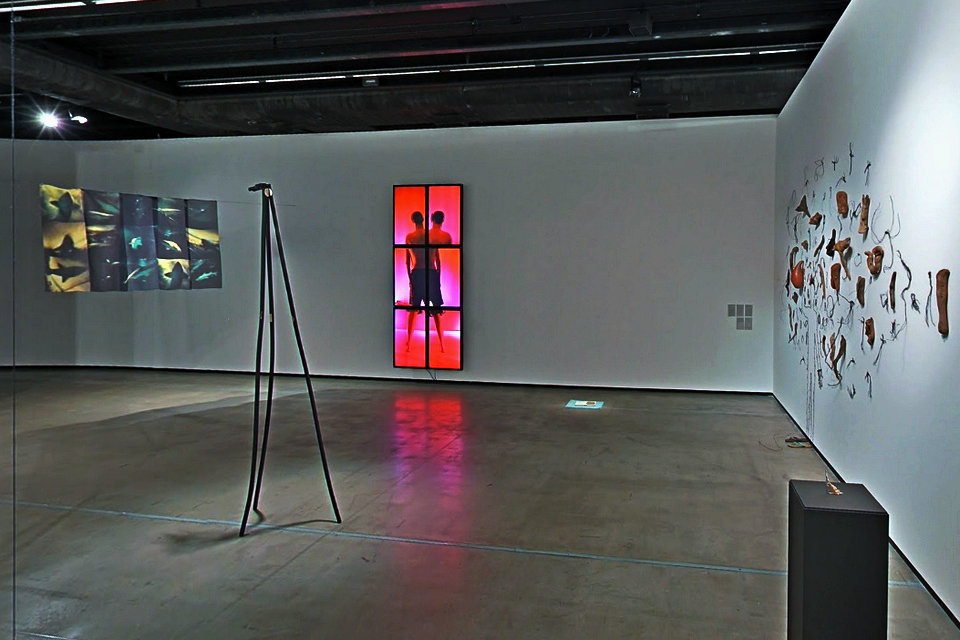 傲骨展览：拉斐尔·布拉加广泛的辩护权，大竹富江协会
