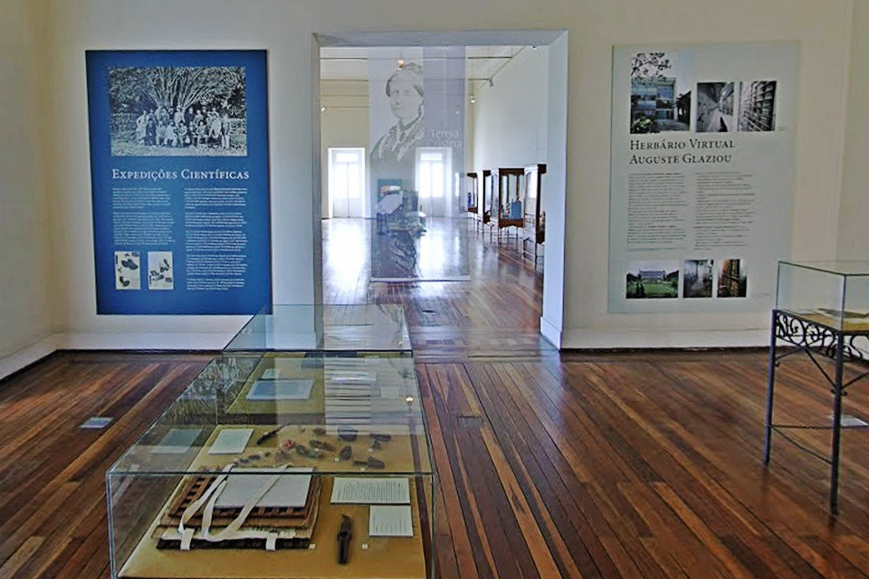 巴西中部的植物-奥古斯特·格拉齐乌的历史救援和虚拟植物标本室，巴西国家博物馆（数码恢复）