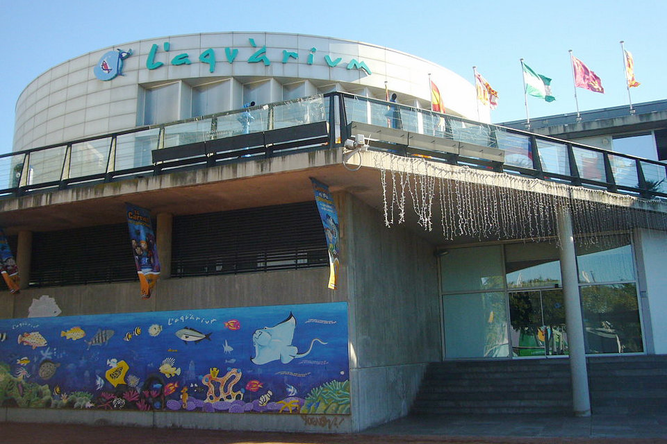 巴塞罗那水族馆，西班牙