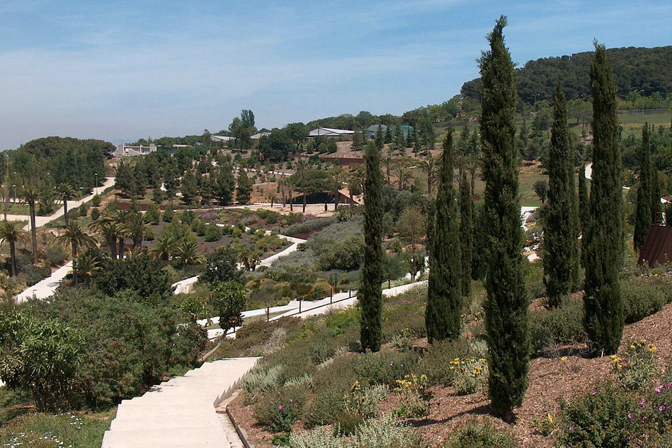 बार्सिलोना बॉटनिकल गार्डन, स्पेन
