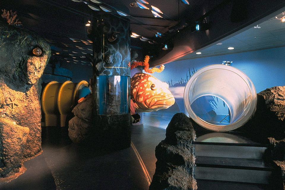 Explorer! Espace enfants, Aquarium de Barcelone