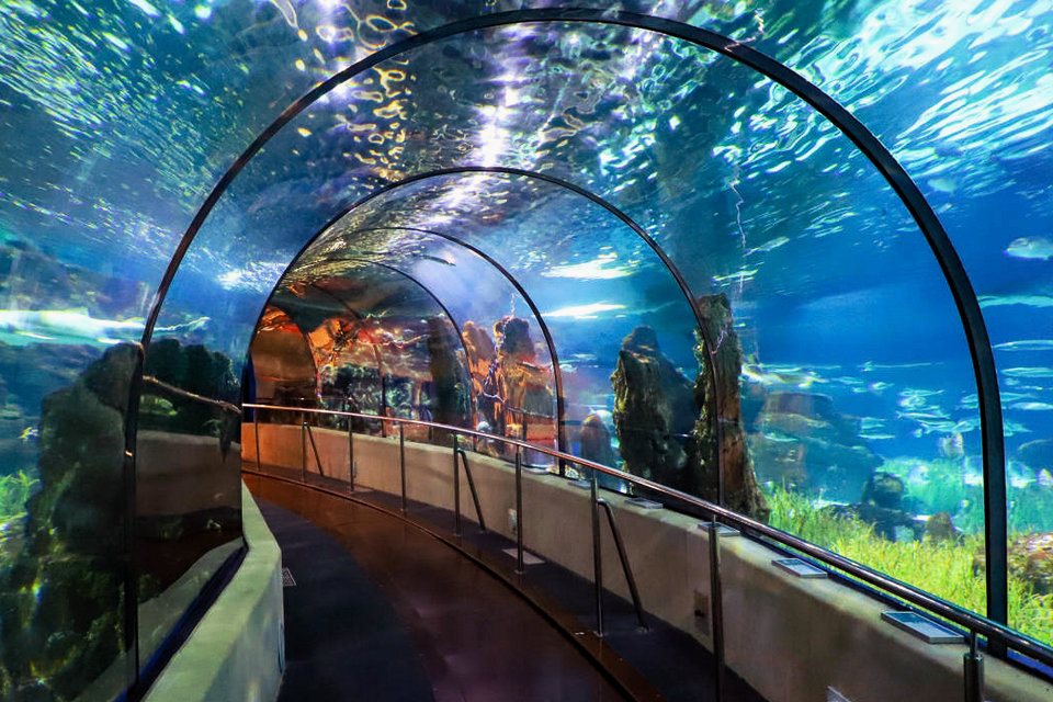 Tunnel vitré dans l’Oceanarium, l’Aquarium de Barcelone