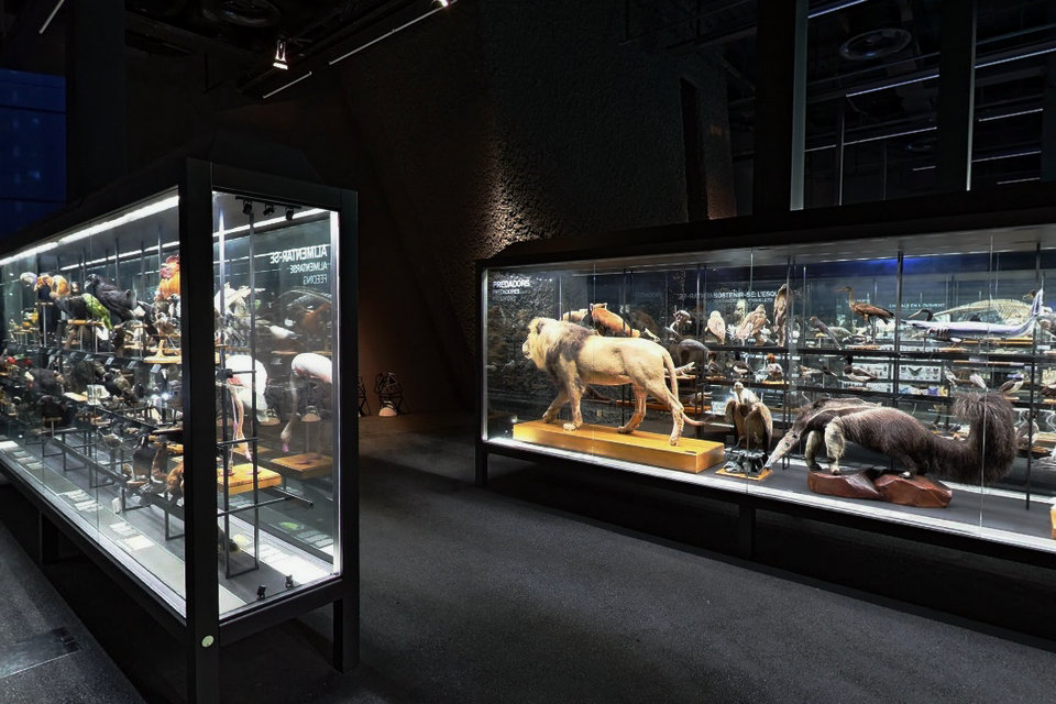 लाइफ प्लेनेट, बार्सिलोना का प्राकृतिक विज्ञान संग्रहालय