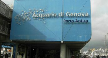 Aquarium von Genua, Italien