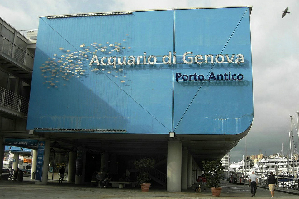Aquarium von Genua, Italien