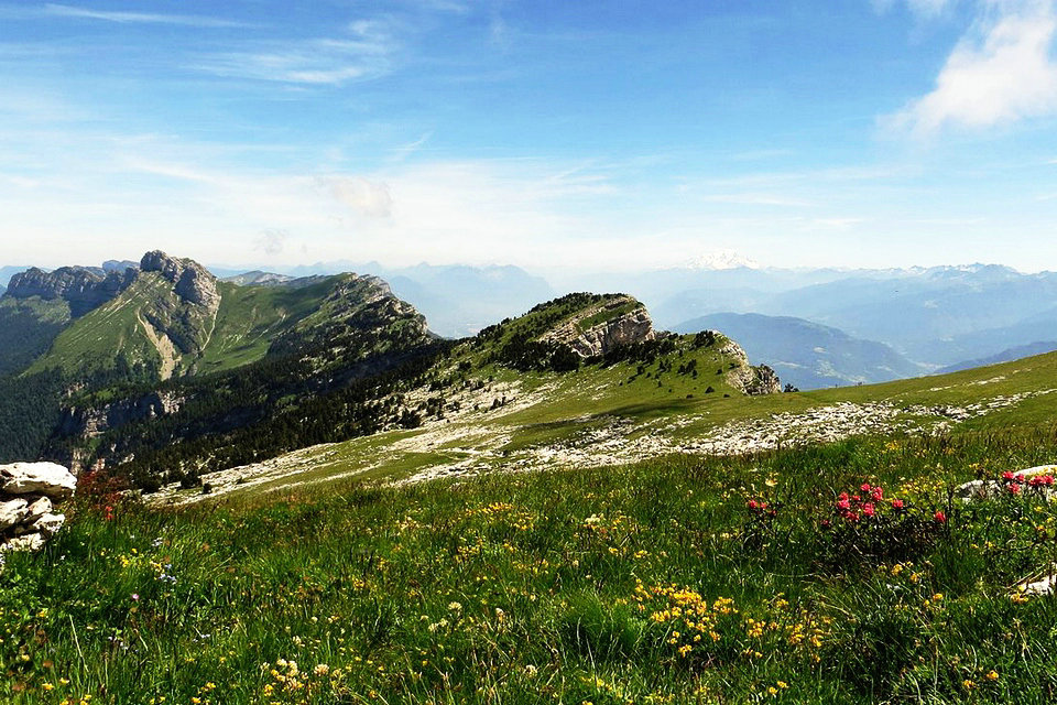 Региональный природный парк Шартрез, Овернь-Рона-Альпы, Франция