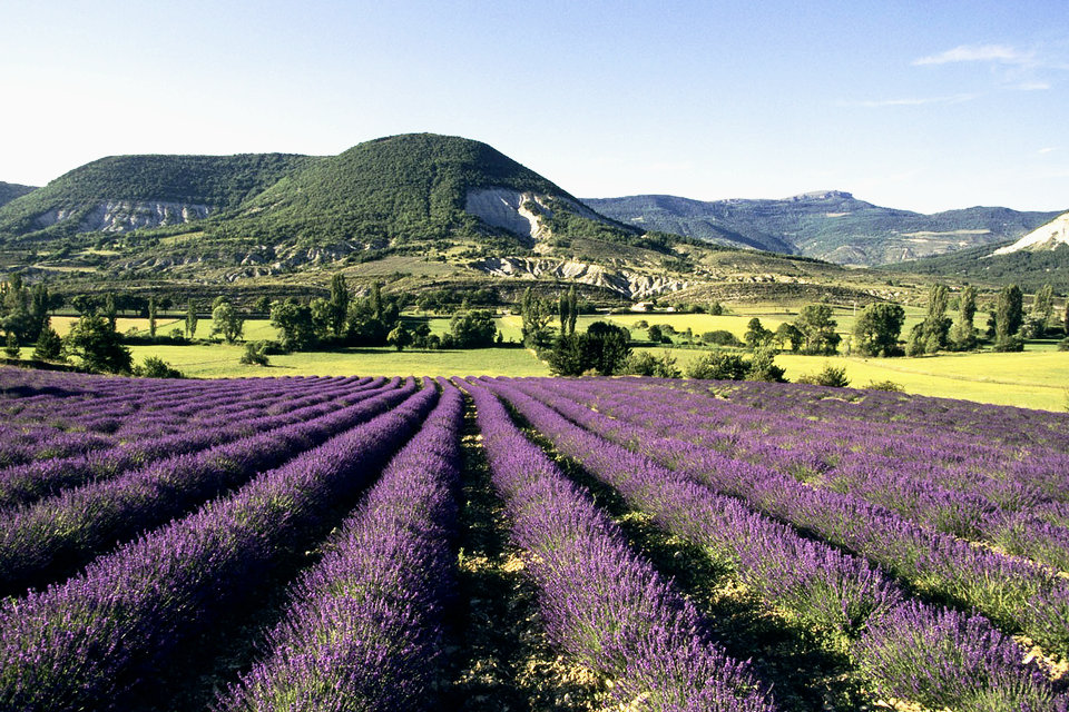 Regional Natural Park of Baronnies Provençales, Drome, Auvergne-Rhône-Alpes, France