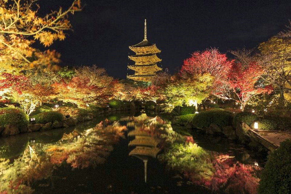 Ночной обзорный маршрут Японии Киото