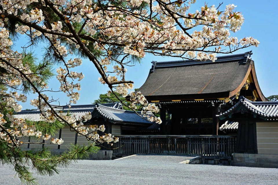 قصر كيوتو الإمبراطوري وخلفية شيموغامو ، طريق كيوتو لمشاهدة معالم المدينة ، اليابان