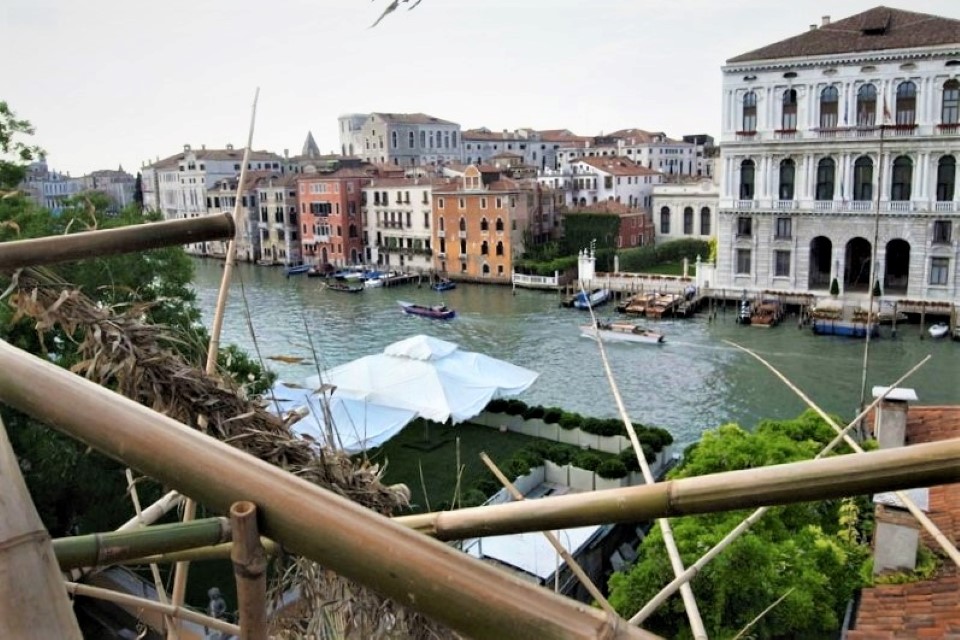 वेनिस आर्ट बिएननेल 2011 समीक्षा, इटली की समीक्षा