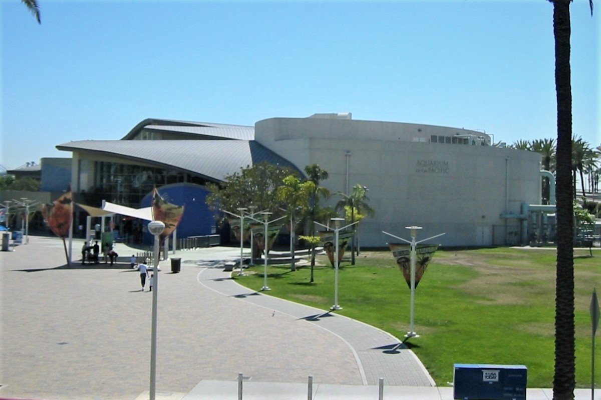 Aquarium des Pazifiks, Long Beach, Los Angeles, USA