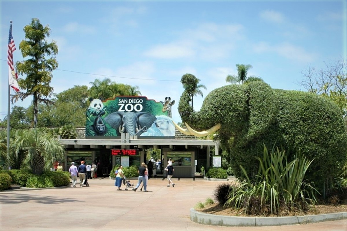 Guide Tour of San Diego Zoo, California, United States