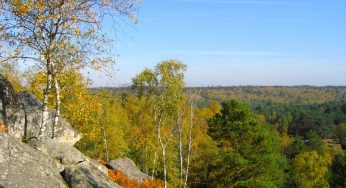 Guide Tour of Fontainebleau Forest, Seine-et-Marne, France